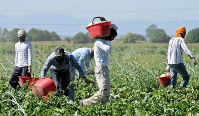 Covid-19 e piena attuazione della legge 199/16 per un lavoro agricolo di qualità